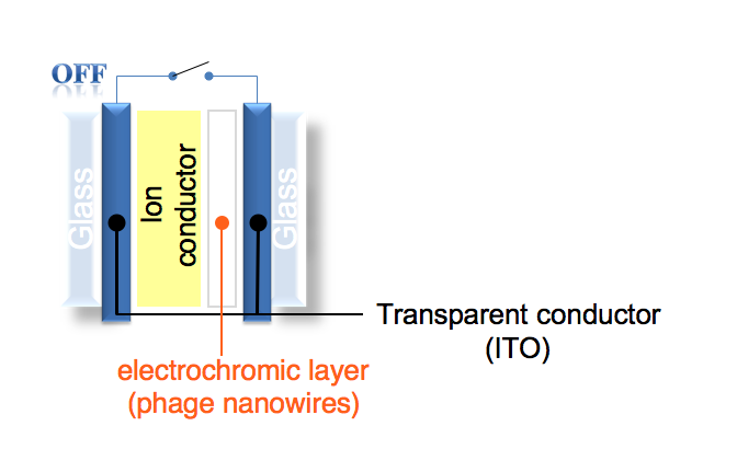 ECD layers, image modified from one provided by Yoon Sung Nam