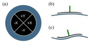 Schematic of the piezo disk used to actuate the AFM's sample stage. The circular electrode is divided into quadrants as shown in (a) to enable 3-axis actuation. When the same voltage is applied to all quadrants, the disk flexes as shown in (b), giving z-axis motion. Differential voltages applied to opposite quadrants, produce the flexing shown in (c), which moves the stage along the x- and y-axes, with the help of the offset post, represented here by the vertical green line.