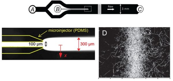 Microinjector Seymour.jpg