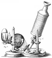 Hooke-Microscope.png